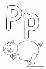 Letter Pig Outline Alphabet Flashcard Coloring Info Thelearningsite Learning Site sketch template