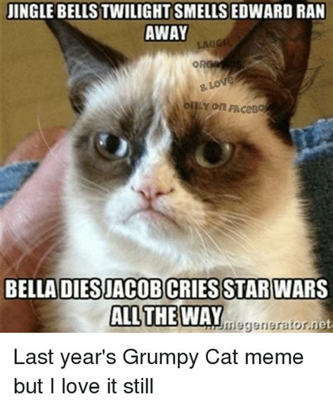 funny grumpy cat meme memes of 2016 on sizzle