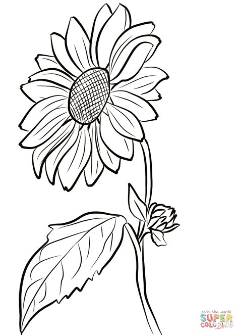 sunflower printable coloring pages printable word searches