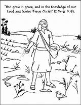 Sowing Sower Bible Sunday Parable sketch template