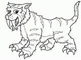Coloring Tooth Saber Tiger Pages Print Printable Cat Clipart Drawing Library Popular sketch template