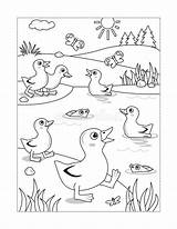 Pond Coloring Ducklings Colouring Joy Themed Spring Summer Dreamstime Illustrations Vectors sketch template