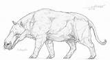 Andrewsarchus Kaek Blacki Gigantopithecus Mammals sketch template