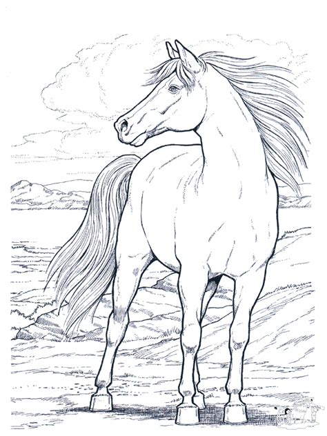printable realistic horse coloring pages coloring home