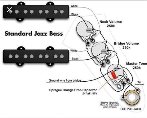 double checking wiring  fender jazz bass   pickups talkbasscom
