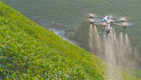 los drones son una inversion  brinda grandes beneficios  el agro colombiano agronegociosco