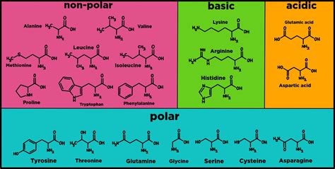 amino acids chart polar nonpolar