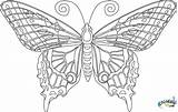 Coloring Pages Adults Butterfly Adult Printable Sheets Color Mandala Print Butterflies Intricate Work Provides Because Area Favorite Where Random Printables sketch template