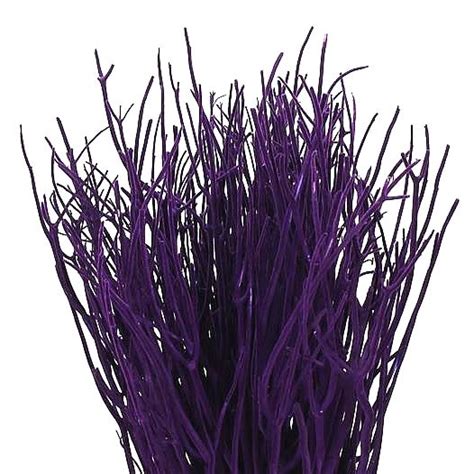 Mitsumata Dyed Purple 60cm Wholesale Dutch Flowers And Florist Supplies Uk