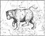 Ursa Constellation Hevelius Depicts Tails Peecnature sketch template