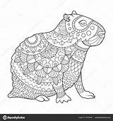 Capybara Malbuch Alexanderpokusay Stockillustration sketch template