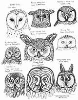 Owls Eared Designlooter 28kb 896px Pyrography Reborn sketch template