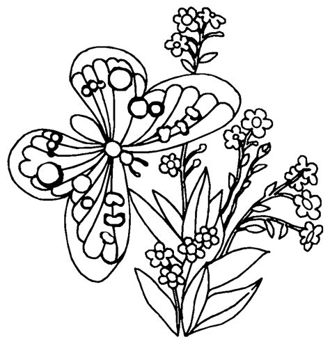 coloring pages  flowers  butterflies educative printable