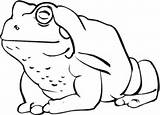 Toad Coloring Pages Frog Printable Clipart Cartoon Kids Toads Cliparts Outline Color American Categories Animals Library Supercoloring sketch template