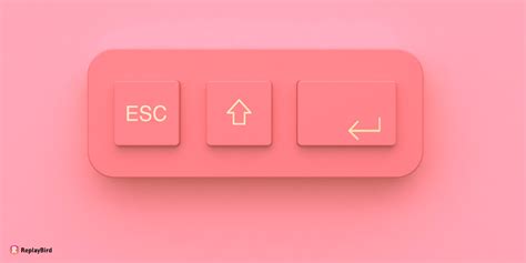 guide  build stunning  buttons  html  css