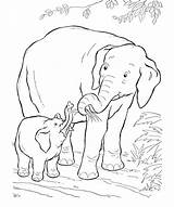 Sketsa Gajah Hewan Hitam Putih Elephants Diposting sketch template