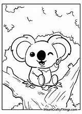 Pages Koala Iheartcraftythings Supercoloring Firstpalette Savanna Pew sketch template
