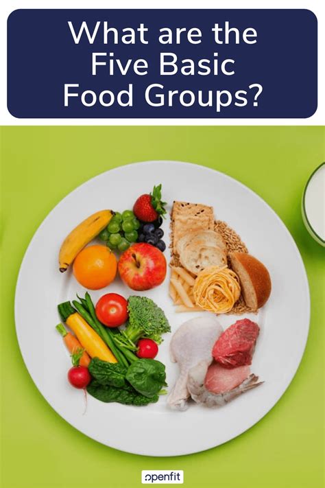 basic  food groups openfit