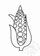 Corn Cob Template Leaves Coloring sketch template