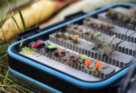 fly boxes   market  buyers guide  fly fishing