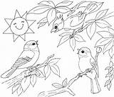 Oiseaux Oiseau Coloriages Printemps Naturaleza Foret Colorear Enfants Nid Dessus Non Chantent Chantant Aimable sketch template