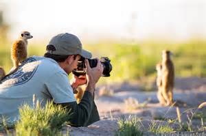 wildlife photographers   follow  px   huffpost