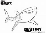 Coloring Dory Finding Pages Destiny Disney Nemo Printable Color Bruce Print Shark Sheet Crush Book Drawing Available Library Kids Clipart sketch template