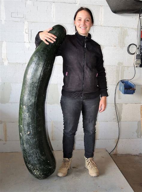 la  grosse courgette de france est bourbonnaise le mayet de