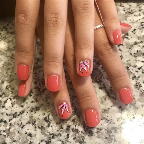 club nails   nail salons  town center dr lexington