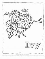 Ivy Coloring Pages Leaf Leaves Printable Template Doodle Lets Templates Zentangle Kids Color Wildlife Wonderweirded Crafts Azcoloring Nature Popular sketch template