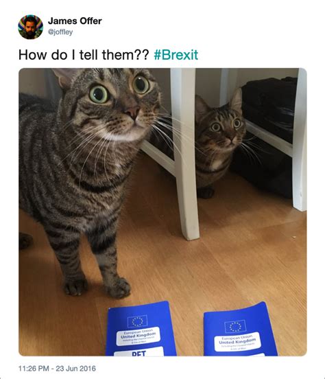 funniest brexit tweets