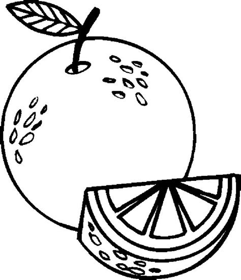 oranges coloring pages  coloring pages  kids coloring pages