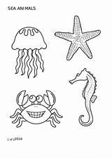 Animals Sea Coloring Sheet Pdf Printable sketch template