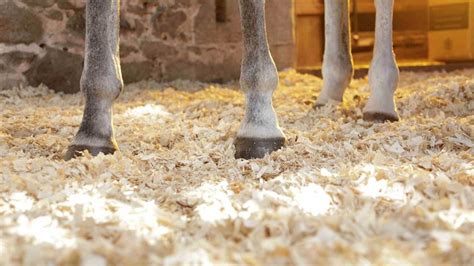 horse bedding shavings pellets straw millbry hill