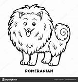 Pomeranian Template sketch template