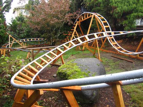 fascinating roller coaster  backyard home family style  art