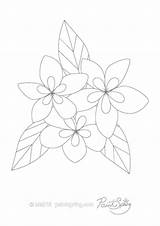 Plumeria Coloring Flower Pages Adult Printable Book Designlooter Getdrawings 7kb 474px sketch template