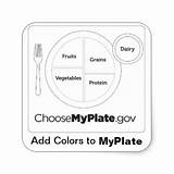 Myplate Choose Plate Worksheets Template Kids Worksheeto Via Food sketch template