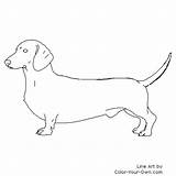 Dog Coloring Pages Dachshund Color Weiner Chiweenie Outline Printable Own Drawing Colouring Templates Dachshunds Dogs Stencil Weenie Värityskuvia Koirat Cricut sketch template