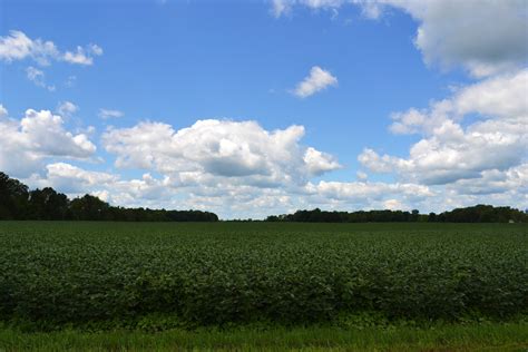 american homestead country livin