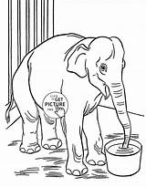 Zoo Coloring Pages Elephant Animal Kids Animals Printable Cartoon Trip Choose Board Preschool Books sketch template