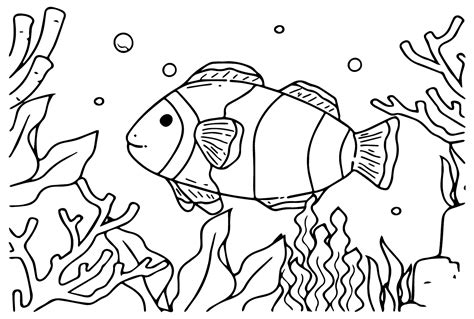 printable clownfish coloring page  printable coloring pages