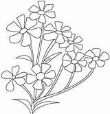 Flower Coloring Breath Small Pages Periwinkle Drawing Jasmine Babys Plant Cosmos Flowers Parts Opposites Spinach Color Drawings Printable Getcolorings Plants sketch template