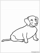 Coloring Weiner Dog Pages Color Online Printable Coloringpagesonly sketch template