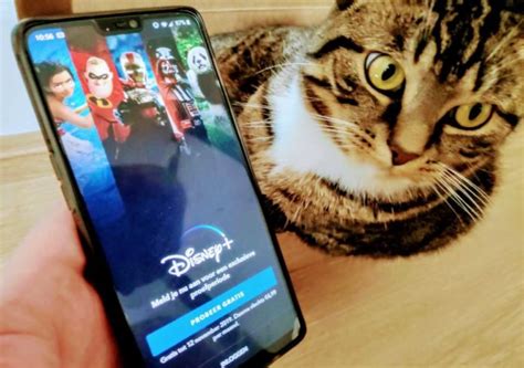 starting today  netherlands   exclusive access  disneys   service