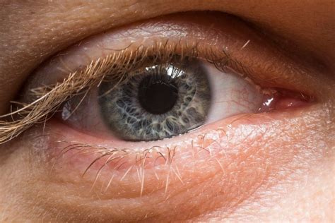 These Macro Photos Reveal The Awesome Diversity Of Human Eyes Huffpost