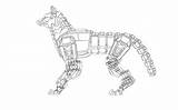 Robot Dog Drawing Paintingvalley sketch template