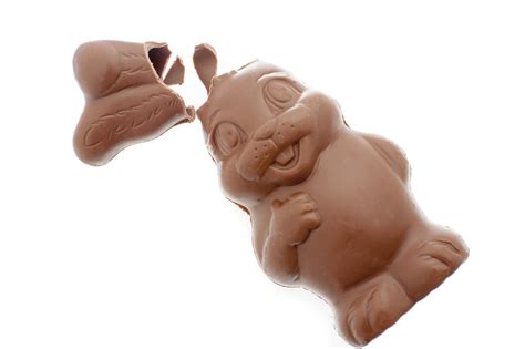 broken hollow chubby chocolate candy bunny creative commons stock image