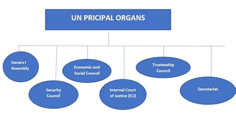 united nations formation main organs education luxury
