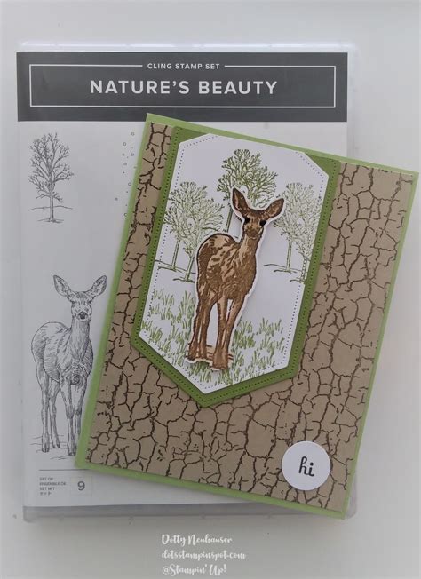card natures beauty   cards creative cards nature beauty